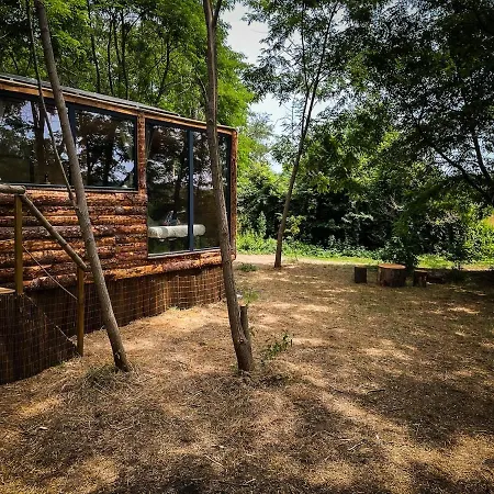 Insolite Le Coin Du Bucheron *