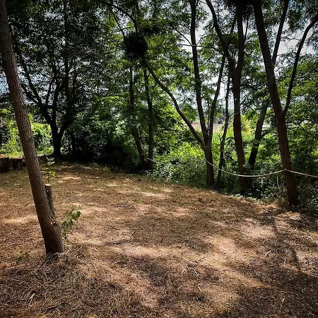 Insolite Le Coin Du Bucheron Domek alpejski