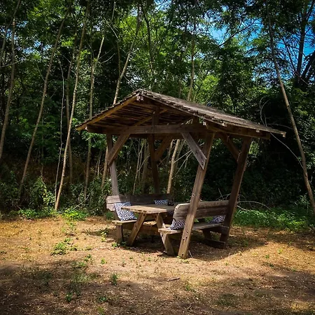 Insolite Le Coin Du Bucheron *