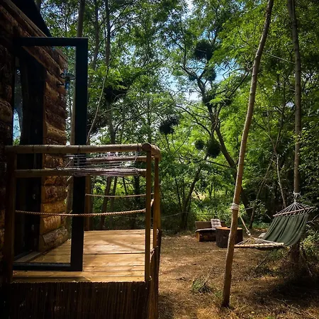 Insolite Le Coin Du Bucheron