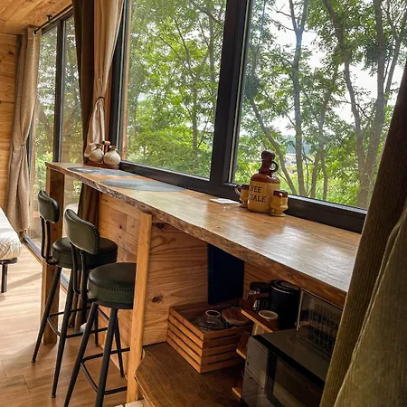 Insolite Le Coin Du Bucheron *