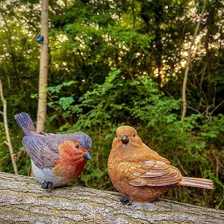 Insolite Le Coin Du Bucheron *