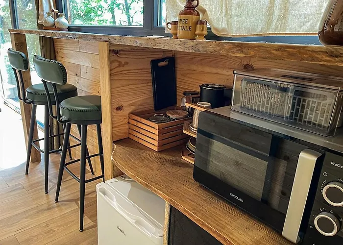 Insolite Le Coin Du Bucheron *