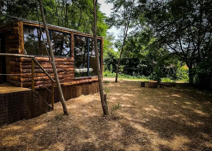 Insolite Le Coin Du Bucheron *