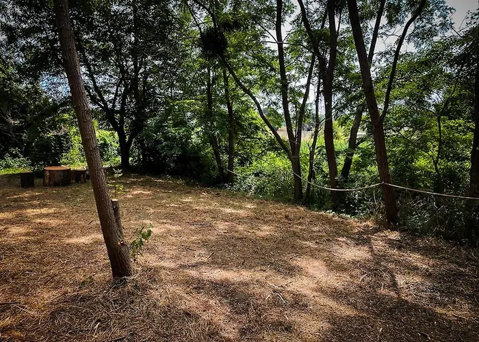 Insolite Le Coin Du Bucheron Chalet