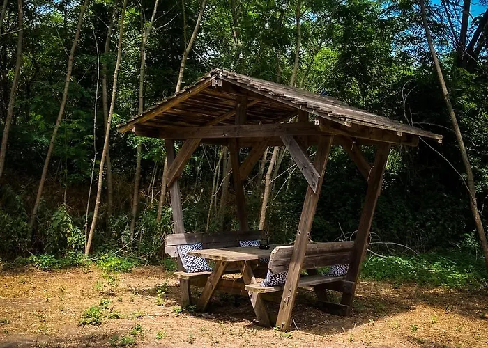 Insolite Le Coin Du Bucheron *