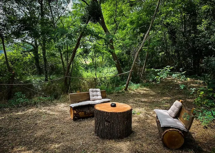 Insolite Le Coin Du Bucheron Monts-sur-Guesnes