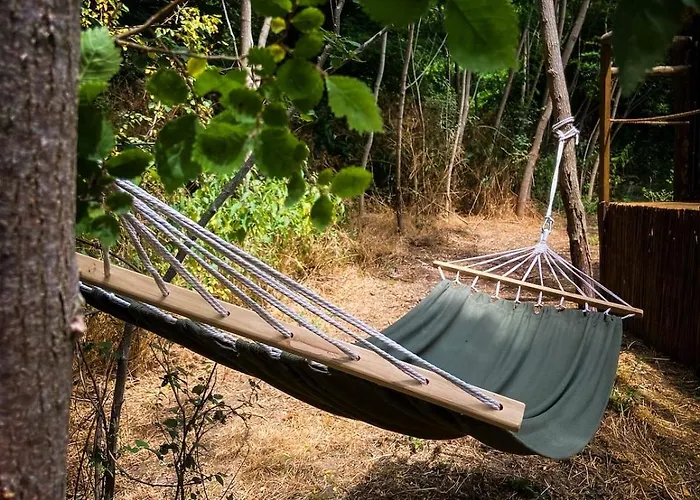 Insolite Le Coin Du Bucheron