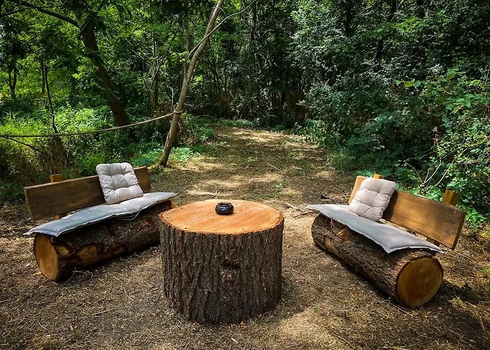 Insolite Le Coin Du Bucheron Monts-sur-Guesnes