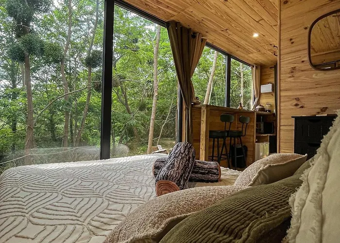 Insolite Le Coin Du Bucheron Monts-sur-Guesnes