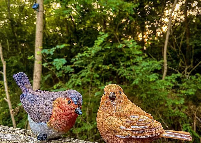 Insolite Le Coin Du Bucheron *